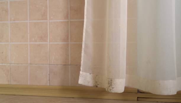 Best Forensic Mold Investigation  in Marquette, MI