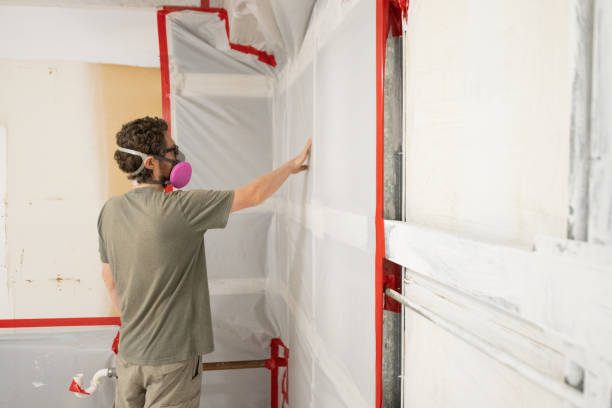 Reliable Marquette, MI Mold Removal Solutions